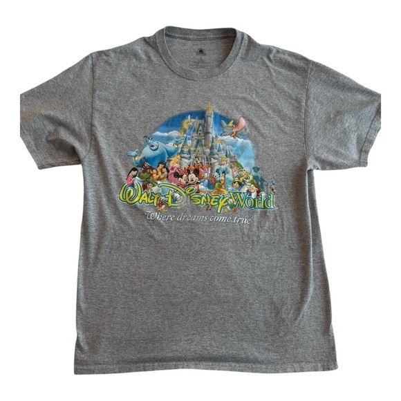Disney World Tops - Walt Disney World “Where Dreams Come True” Gray Women's Park Short Sleeve Tee